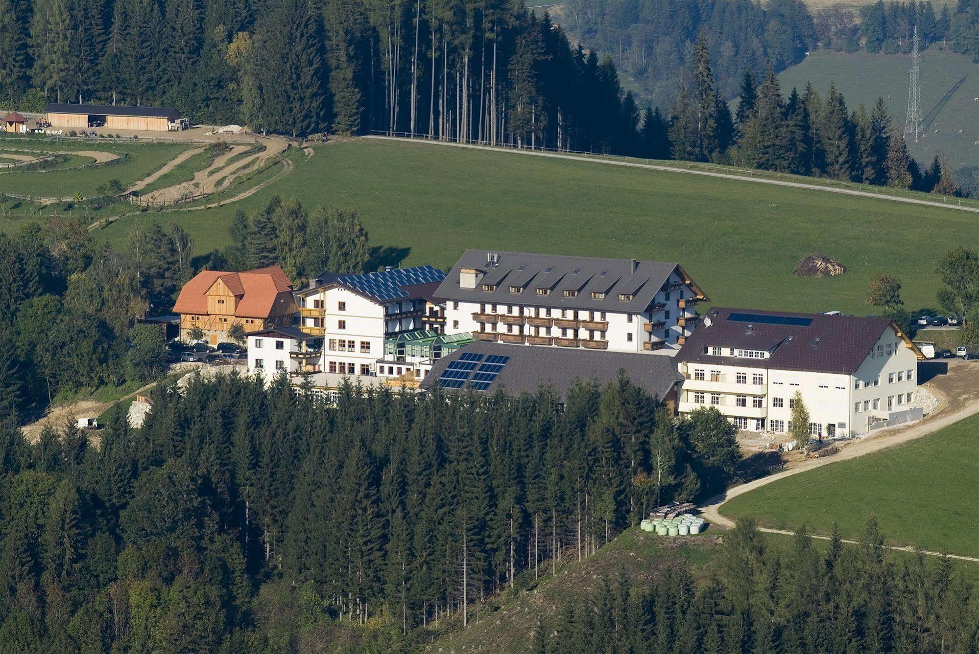 Hotel Moselebauer Bad Sankt Leonhard im Lavanttal Exterior photo